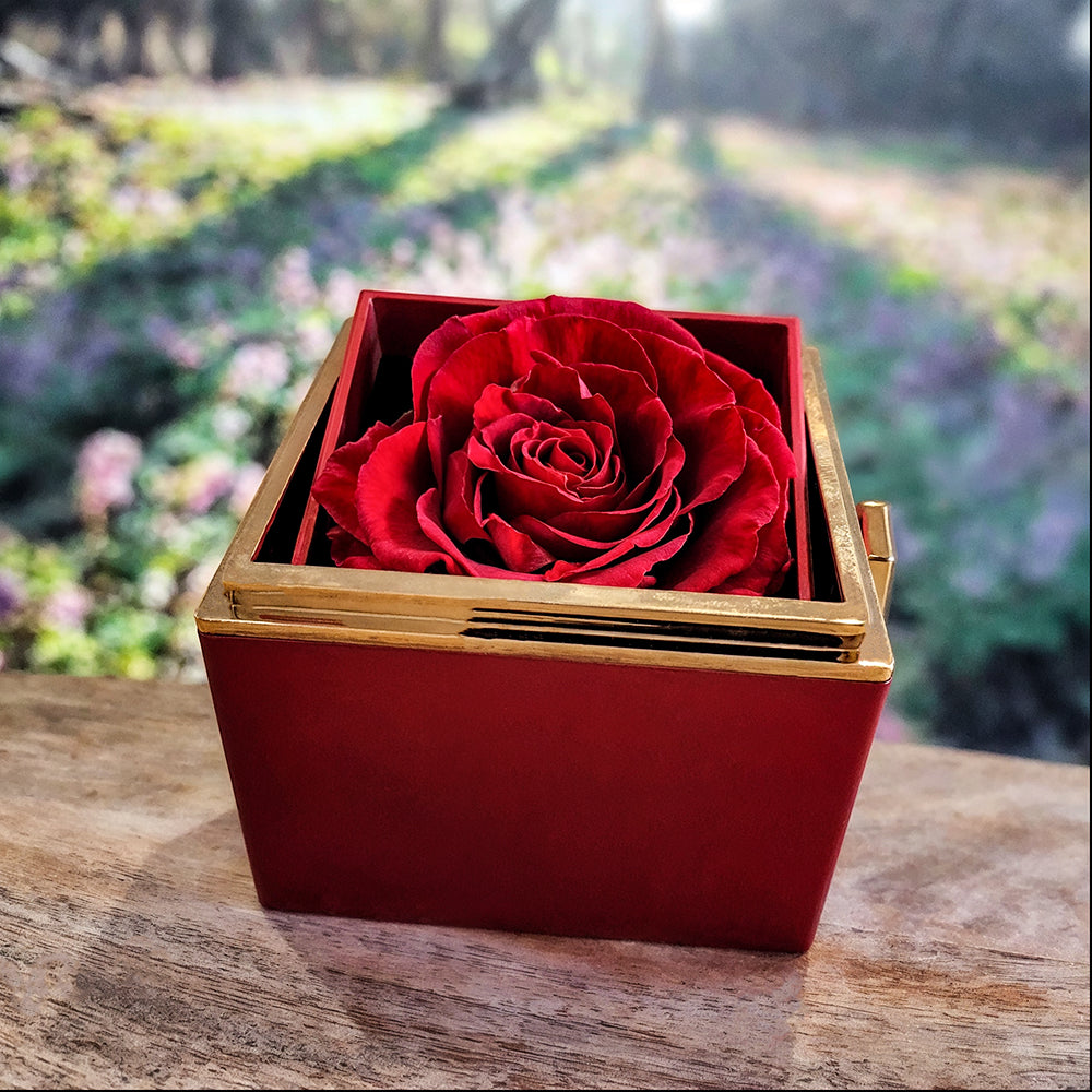 Mother's Day Love Knot with rotating Rose Gift Box