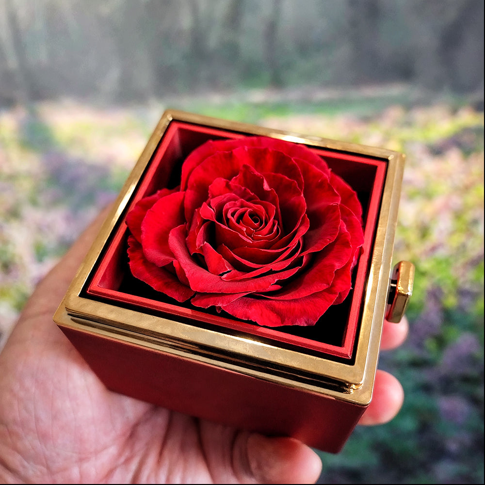 Mother's Day Love Knot with rotating Rose Gift Box